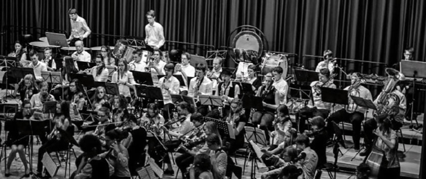 Orchester, Ensembles und Bands